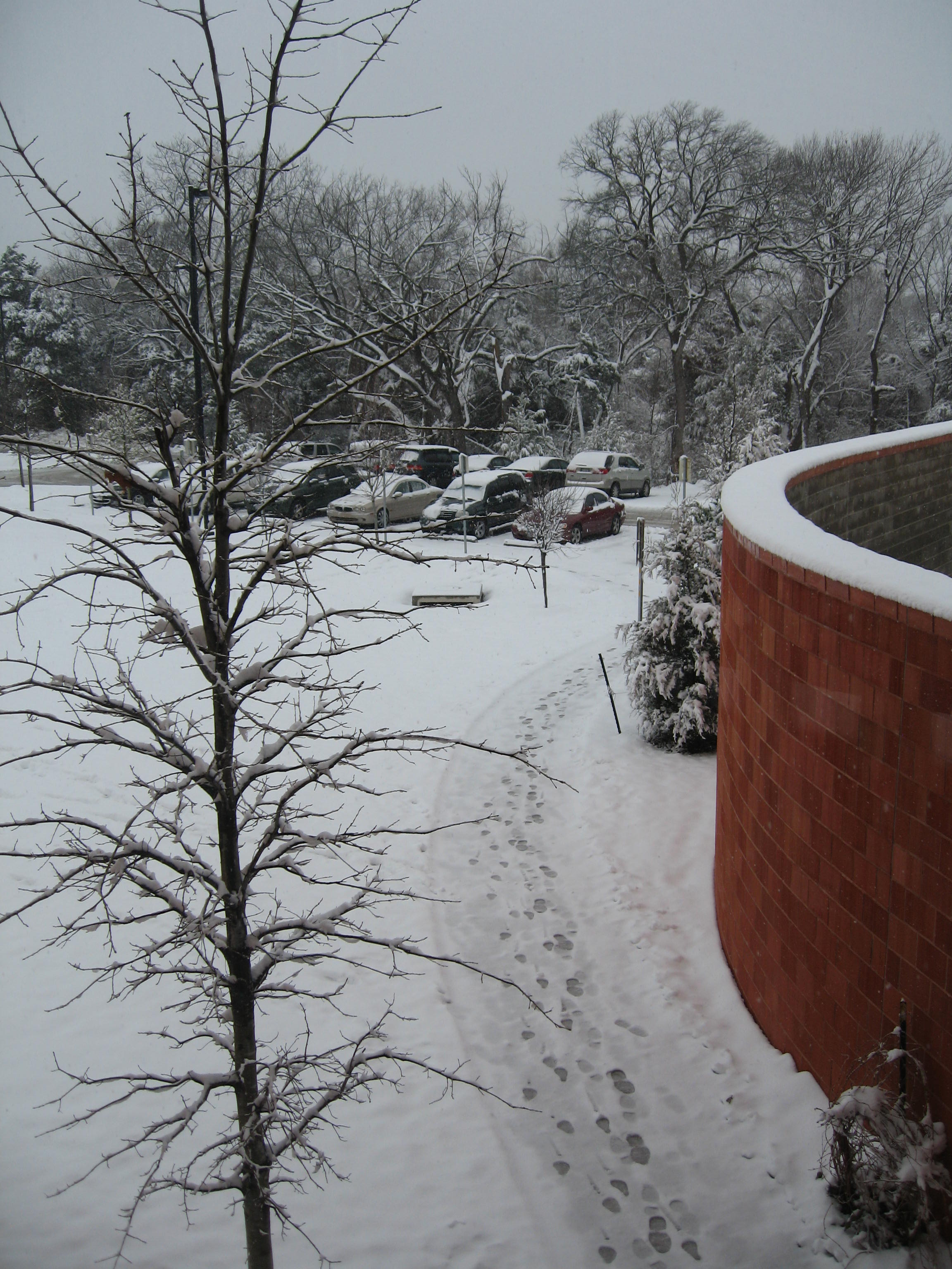 10.02.11 cedar hill snow scenes 024